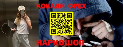spice Кингисепп