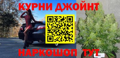 стафф Кинель