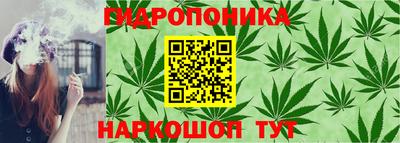 spice Кингисепп