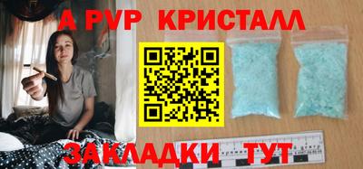 spice Кингисепп
