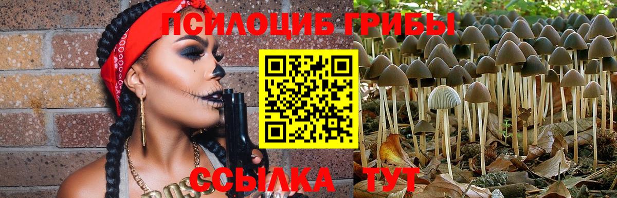 Качканар  Галлюциногенные грибы мицелий  Вход с VPN 